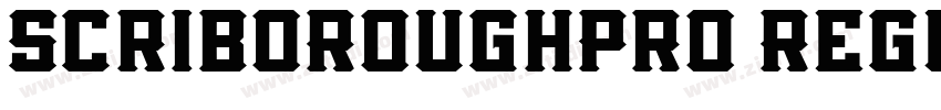 ScriboRoughPro Regul字体转换